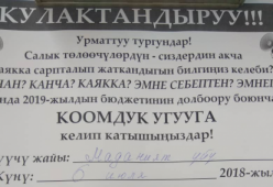 Бюджетное слушание